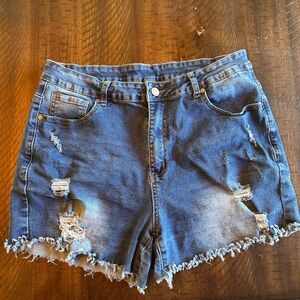 Amazon Blue Distressed Jean Shorts